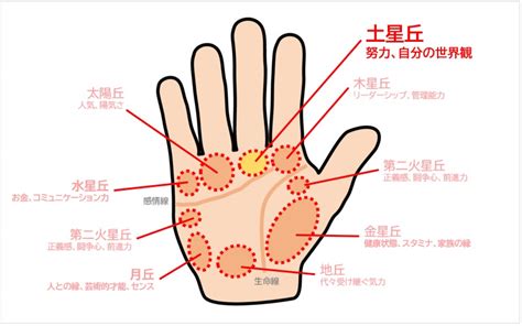 土星丘直紋|【手相占い】中指の下（土星丘）の意味や見方は？縦線・横線に。